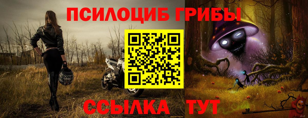 Псилоцибиновые грибы Psilocybine cubensis Ишимбай