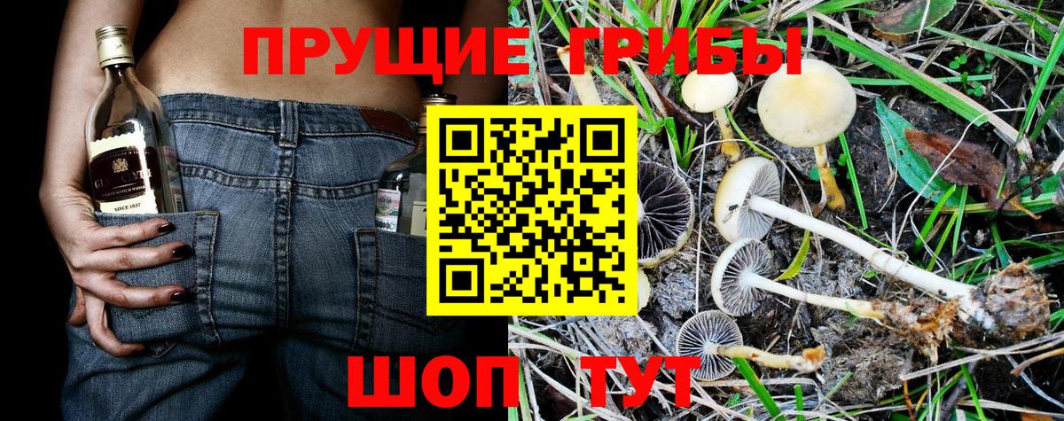 Галлюциногенные грибы мухоморы  Вход с VPN  Ишимбай  Галлюциногенные грибы Psilocybe 